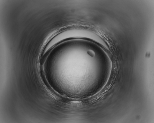 X0000098170053200804241205