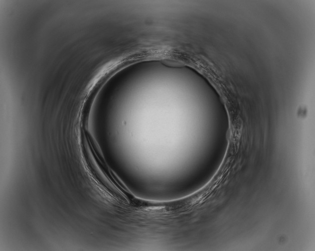 X0000098170054200804241205