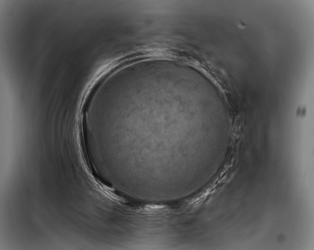 X0000098170055200804241205