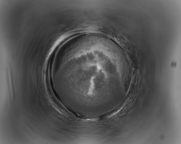 X0000098170056200804241205