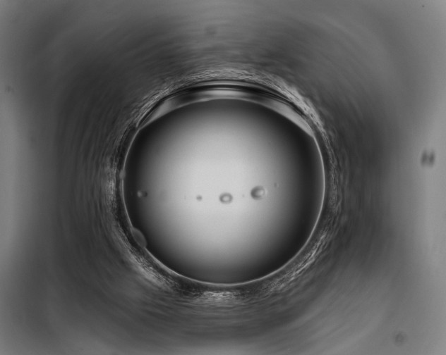 X0000098170057200804241205