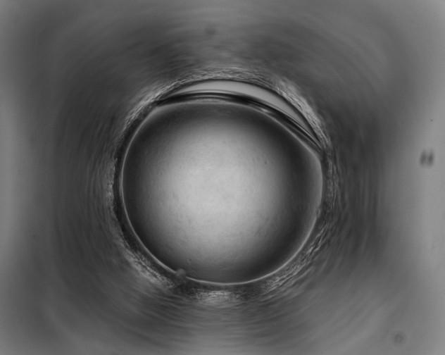 X0000098170058200804241205