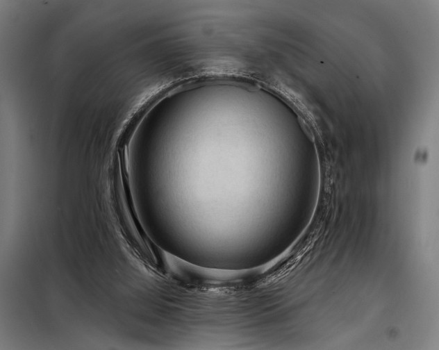 X0000098170060200804241205