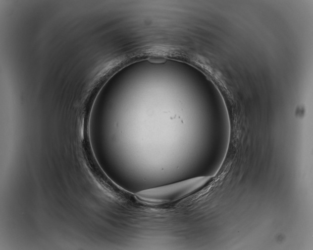 X0000098170062200804241205