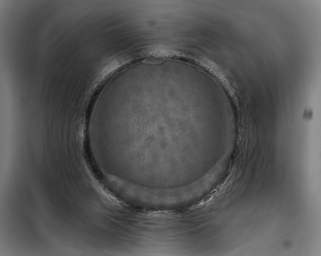 X0000098170063200804241205