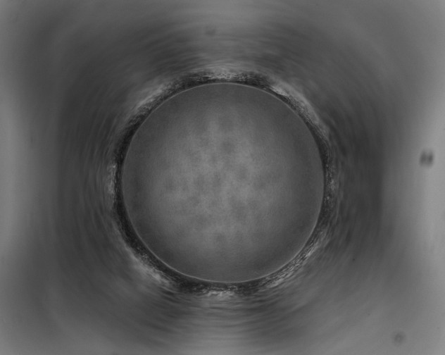 X0000098170066200804241205