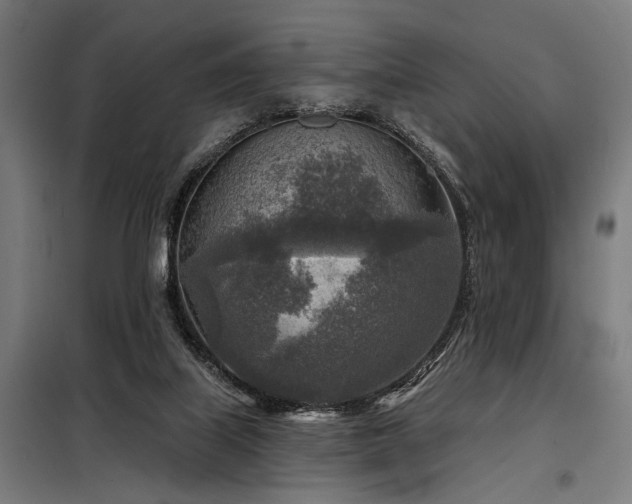 X0000098170067200804241205