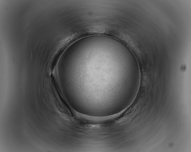 X0000098170068200804241205