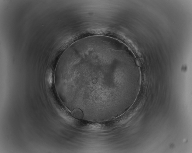 X0000098170069200804241205