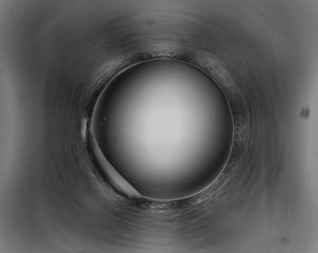 X0000098170070200804241205