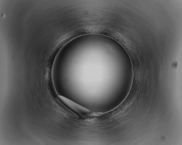 X0000098170071200804241205