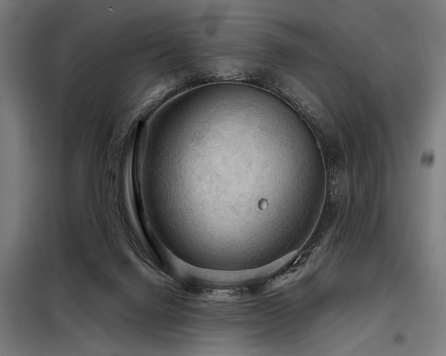 X0000098170072200804241205