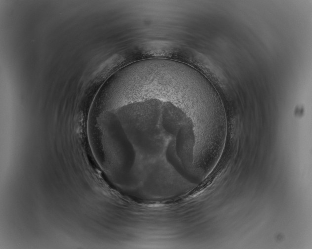 X0000098170073200804241205