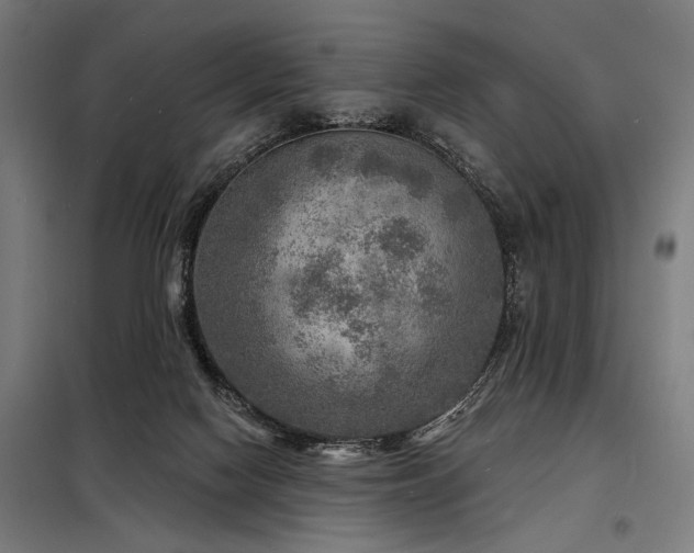 X0000098170074200804241205