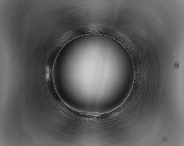 X0000098170075200804241205