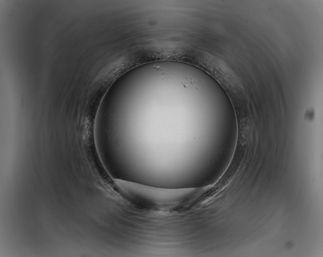 X0000098170077200804241205