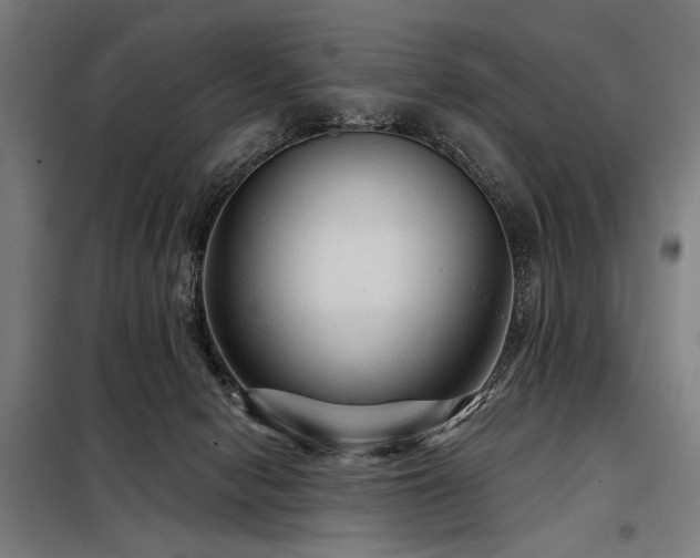 X0000098170078200804241205