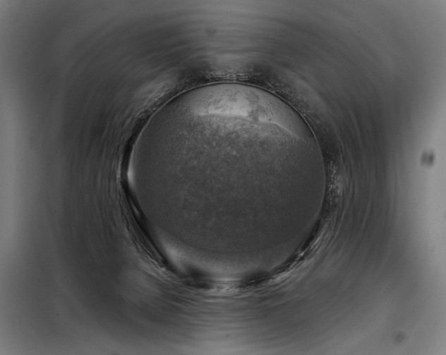 X0000098170080200804241205