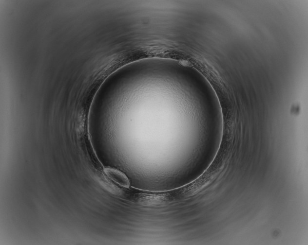 X0000098170081200804241205