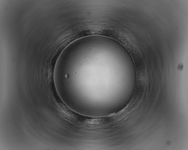 X0000098170082200804241205