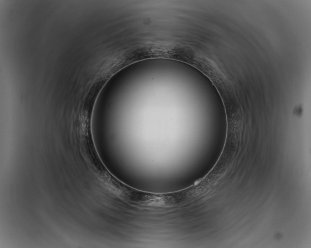 X0000098170083200804241205