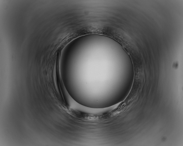 X0000098170084200804241205