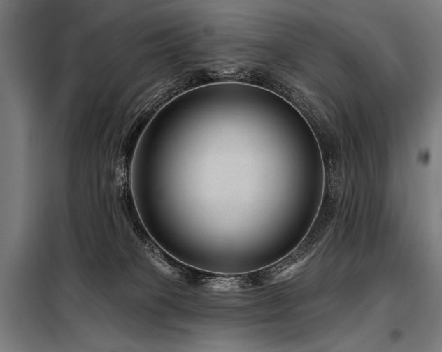 X0000098170085200804241205