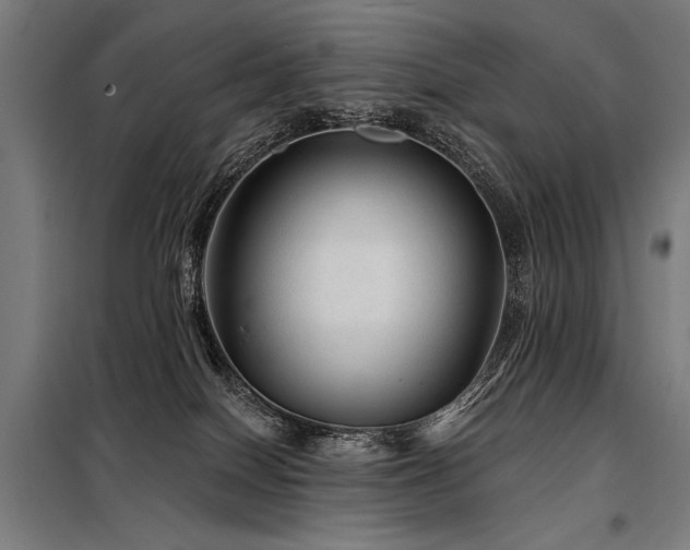 X0000098170086200804241205