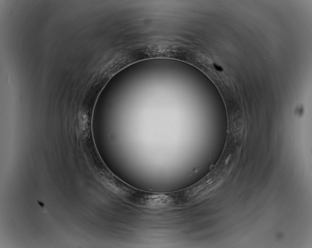 X0000098170087200804241205