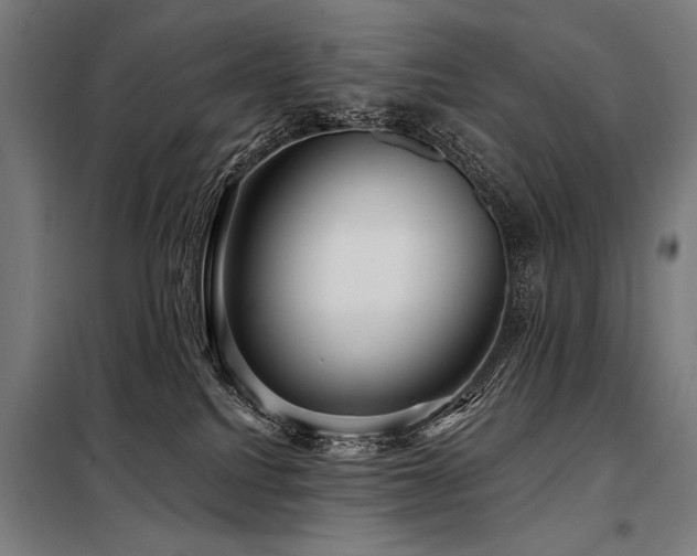 X0000098170088200804241205