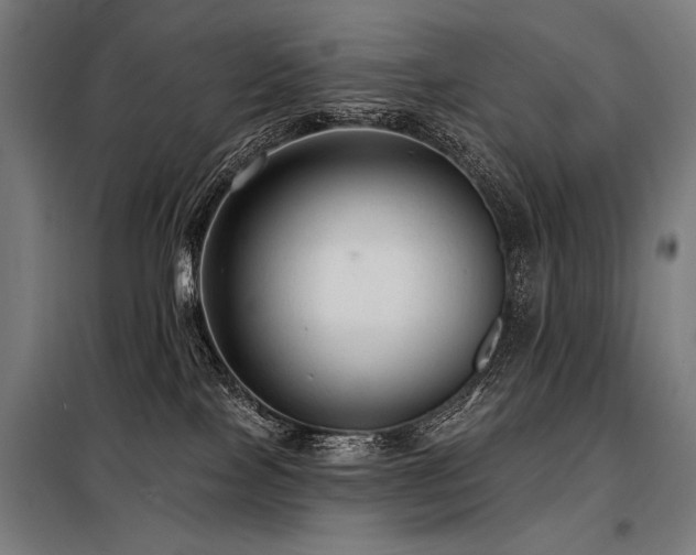 X0000098170089200804241205