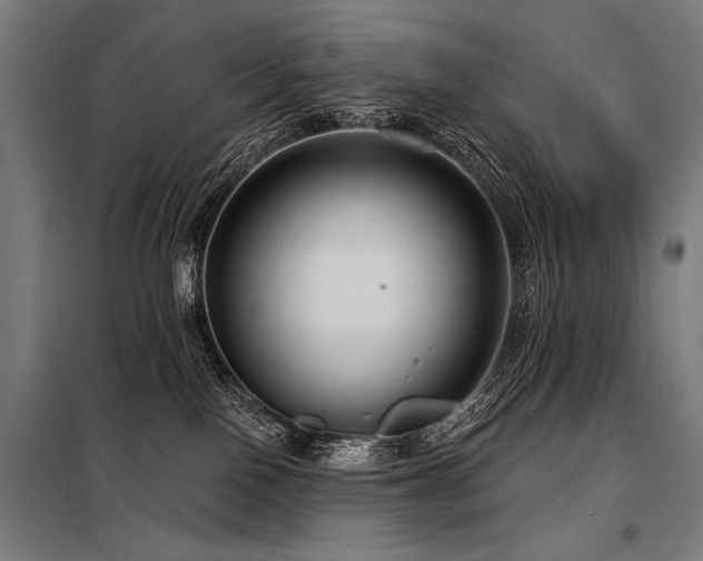 X0000098170090200804241205