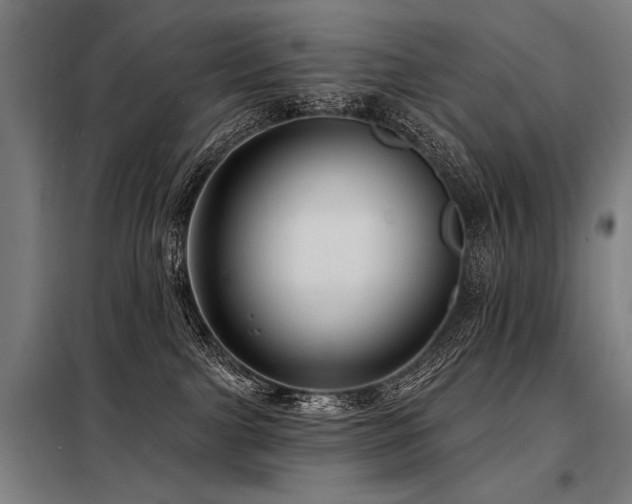 X0000098170091200804241205