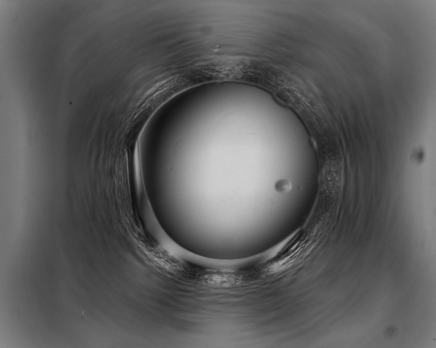 X0000098170092200804241205