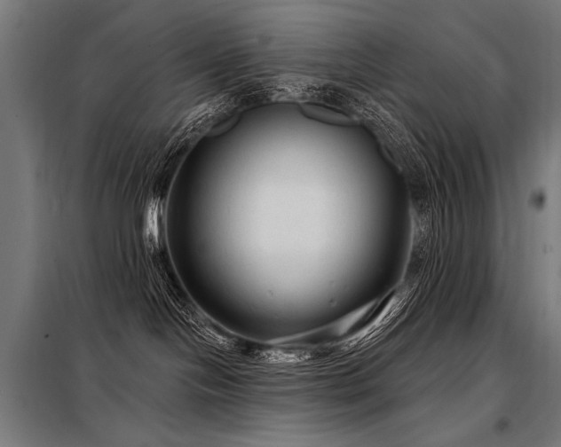 X0000098170094200804241205