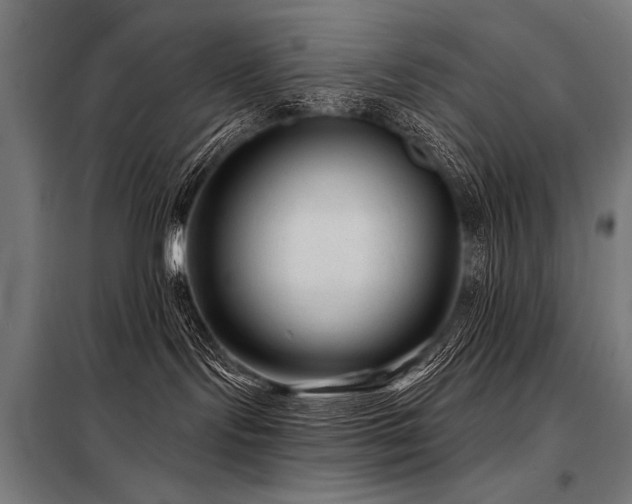 X0000098170095200804241205