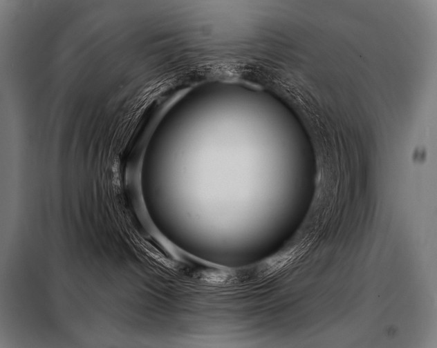 X0000098170096200804241205