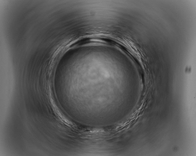 X0000098170097200804241205