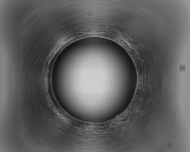 X0000098170098200804241205