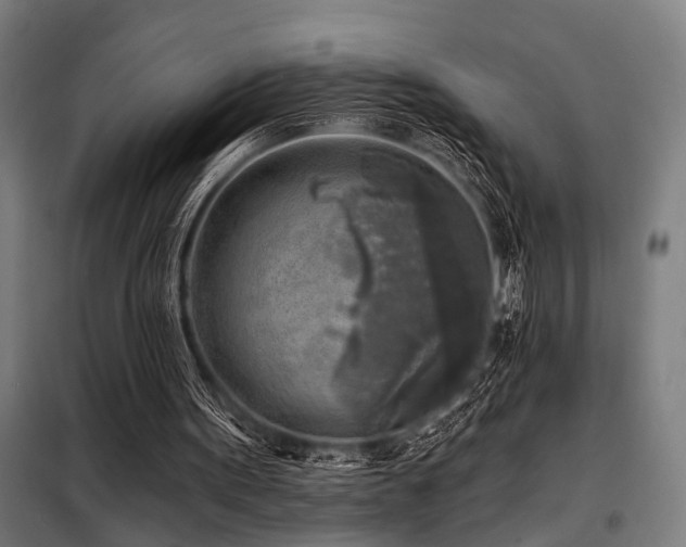 X0000098170099200804241205