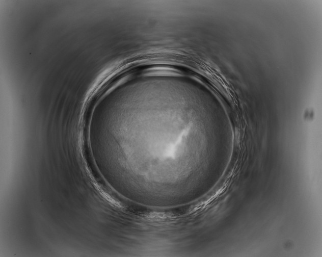 X0000098170101200804241205