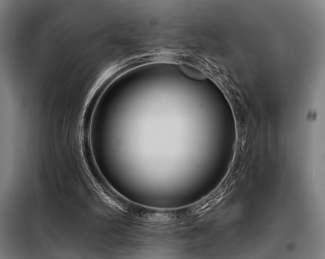 X0000098170102200804241205