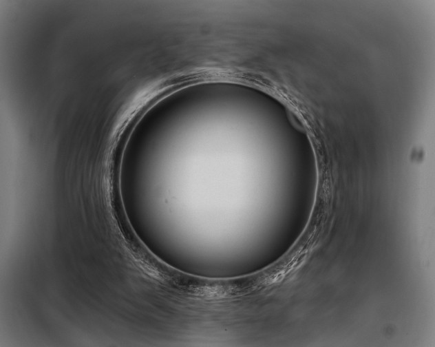 X0000098170103200804241205