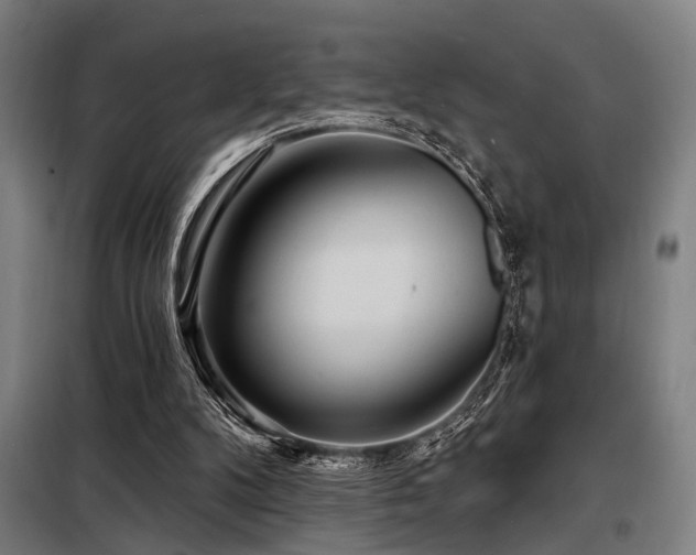 X0000098170104200804241205