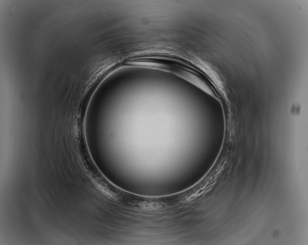 X0000098170105200804241205