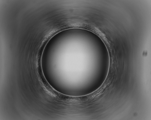 X0000098170106200804241205