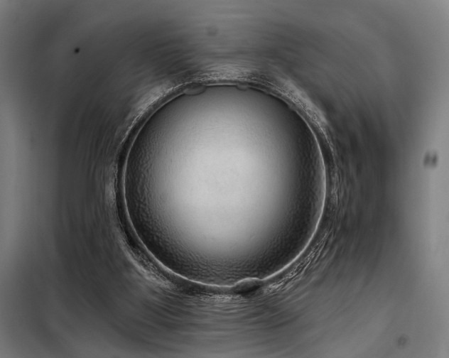 X0000098170107200804241205