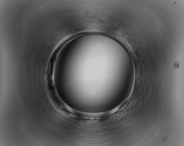 X0000098170108200804241205