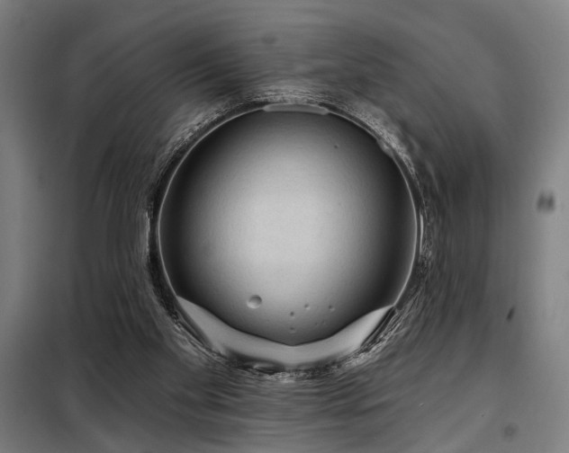 X0000098170109200804241205