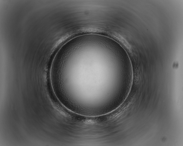 X0000098170111200804241205